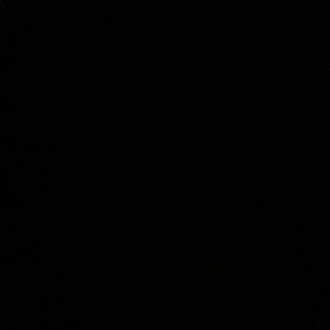 Meet your Posher, Bailey